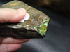 Polished Ammolite Stone #811