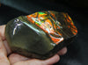 Polished Ammolite Stone #811