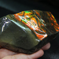 Polished Ammolite Stone #811