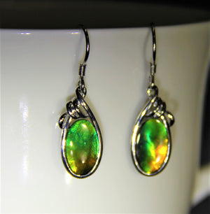 Ammolite Dangling Earrings #850