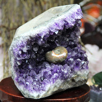 AAA Semi-Geode Amethyst Cluster #858