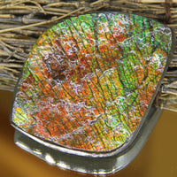 Polished Ammolite Display Stone #893