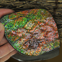 Polished Ammolite Display Stone #893