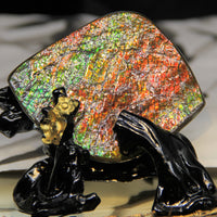 Polished Ammolite Display Stone #893