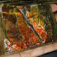 Polished Ammolite Display Stone #897