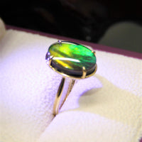 18k Ammolite Ring #903