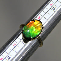 18k Ammolite Ring #903