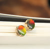 18K Ammolite Earrings #912