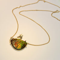 18k Swan Ammolite Pendant #926