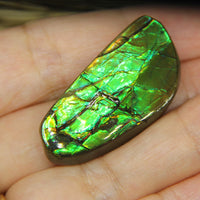 Freeform Natural Loose Ammolite Gemstone #A216