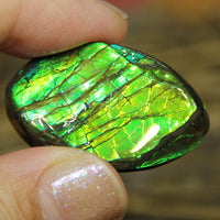 Freeform Natural Ammolite Loose Gemstone #A237