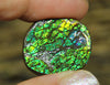 Freeform Natural Ammolite Loose Gemstone #A280