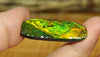 Freeform Natural Ammolite Loose Gemstone #A282