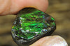 Freeform Natural Ammolite Loose Gemstone #A324