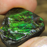 Freeform Natural Ammolite Loose Gemstone #A324