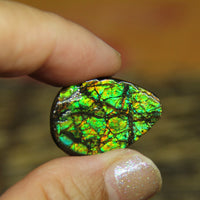 Freeform Natural Ammolite Loose Gemstone #A338