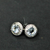 March Earrings - Aquamarine #1940