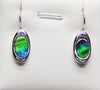 Ammolite Earrings #103