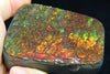 Ammolite Hand Sample Stone #607