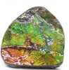 Ammolite Hand Sample Stone #608