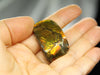 FREEFORM AMMOLITE LOOSE GEMSTONE - #A125