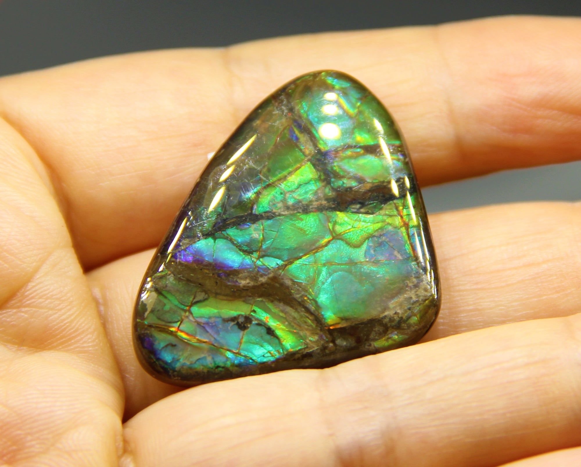 Freeform Ammolite Loose Gemstone #A126