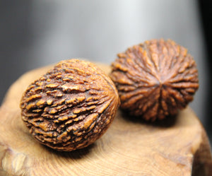 Palm Walnuts (Pair)