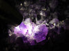 Super Extra Dark Purple Amethyst Display 9.3kg #1585