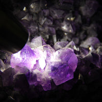 Super Extra Dark Purple Amethyst Display 9.3kg #1585