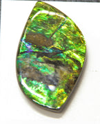 FREEFORM NATURE AMMOLITE LOOSE GEMSTONE #A103