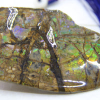 Ammolite Rough Stone #810