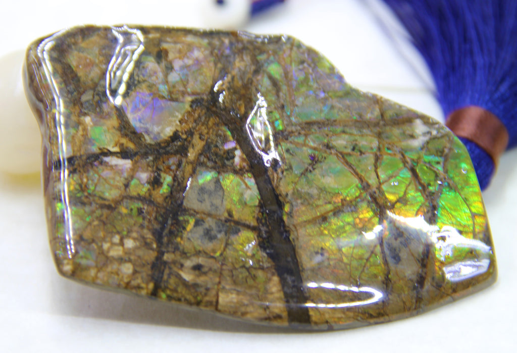 Ammolite Rough Stone #810