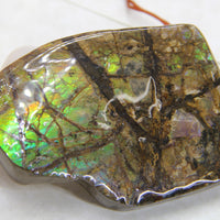 Ammolite Rough Stone #810