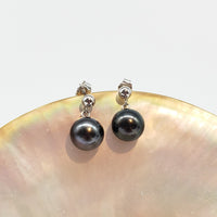 Tahitian Saltwater Cultured Pearl Earrings #1612