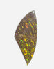 Ammolite Loose Gemstone 17ct #A121